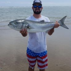 Matt Paylor profile photo