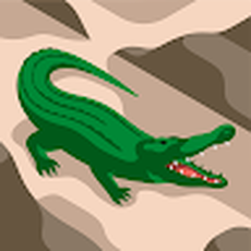 Rising Tide Fishing Charters