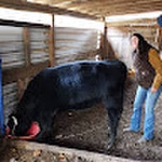 Reel Drag Fishing Charters