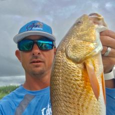 Herman Demoll, jr profile photo