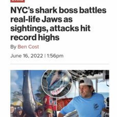 Tom LaCognata profile photo