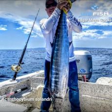 Sportfishing chárter Baja Pacenos Tours profile photo