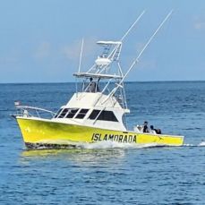 Paul Johnson profile photo