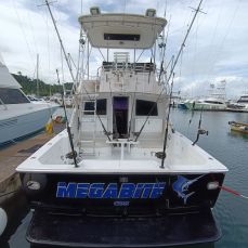 Michael Ponce Sosa profile photo