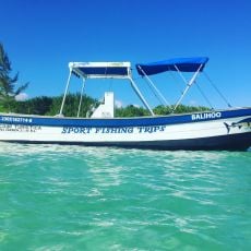 Gerardo Ramirez profile photo