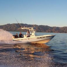 Felipe Valdez profile photo