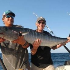 Placencia Fishing Charters profile photo