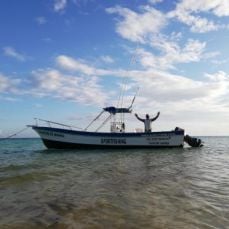 Alfonso Arcos profile photo