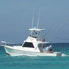 J-string Aruba profile photo