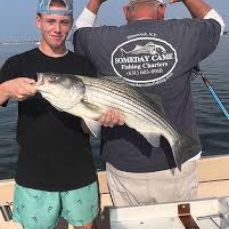 Brad Ries profile photo