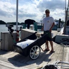 Kurt Ward profile photo