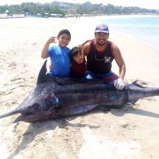 Noe Rodriguez profile photo