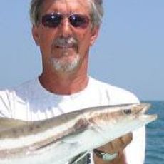 Wayne Gatling profile photo