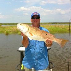 Captain Lynn's profile photo