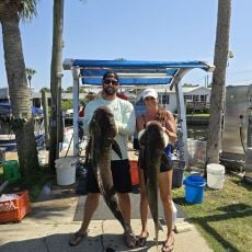 Jojo Willingham profile photo