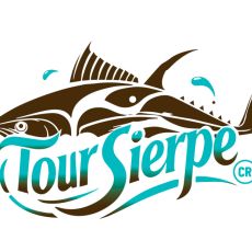 Tours Sierpe CR profile photo