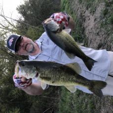 Fin Runner Sportfishing Charters