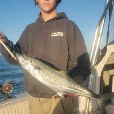 Coastal Carolina Charters  profile photo