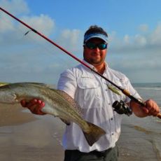 Colin Davis profile photo