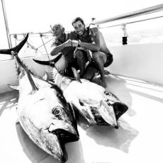 Mile Harasic profile photo