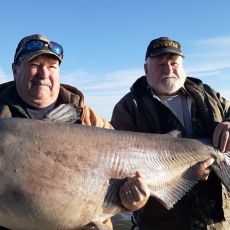 Mark Lawson profile photo