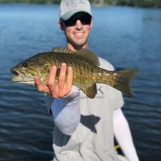 Daniel Brown profile photo