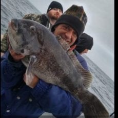 Ocean Cruise - Al Rubban