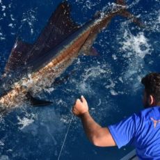 Mahi Sportfishing Puglia profile photo