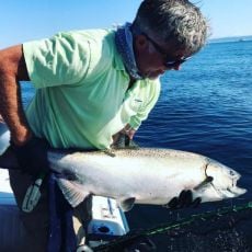 David G. profile photo