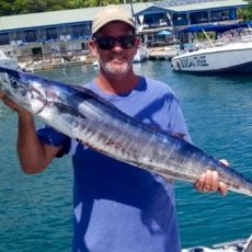 Mark Bayne profile photo