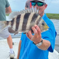 Brad D'Alfonso profile photo