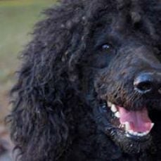 Jon Everetts profile photo