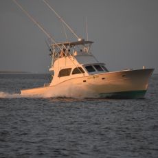 Timothy Quigley profile photo