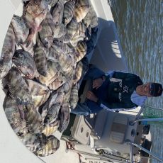 Andrew Huffingham  profile photo