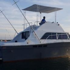 Ramsley Martis profile photo