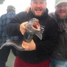 Lawrence Robillard profile photo