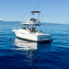 Bob Marlin Charters profile photo