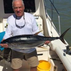 David Muschett profile photo