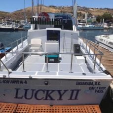 Jerk Bait profile photo