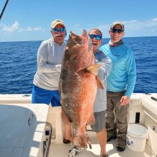 Tom Katz profile photo