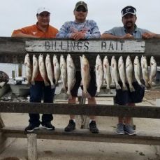 Russ Wheeler profile photo