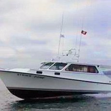 Wally Williams profile photo