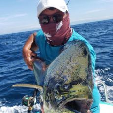 Megacatch profile photo