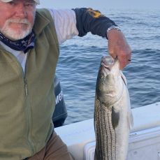 Alan Thomas profile photo