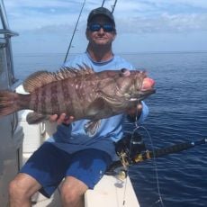 Michael Hartnett profile photo