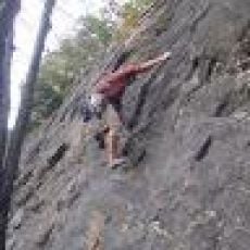 RockenReel Sportfishing – 35' Scarab 