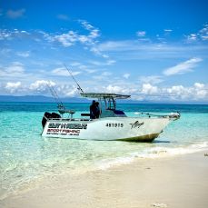 Out N About Sportfishing profile photo