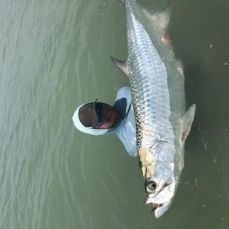 Roland Willock profile photo