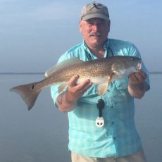 Todd Vivian profile photo