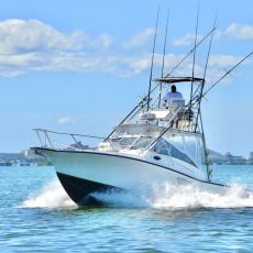 Fishing Charters in Cancún  profile photo